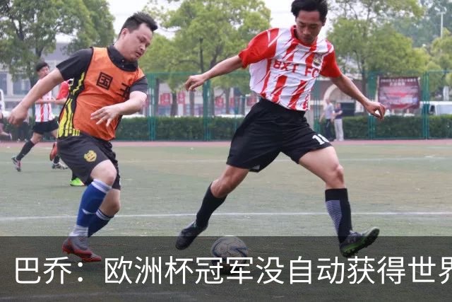 巴乔：欧洲杯冠军没自动获得世界杯资格 这是耻辱